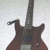 Rosewood guitar