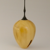 Lidded poplar hollow form